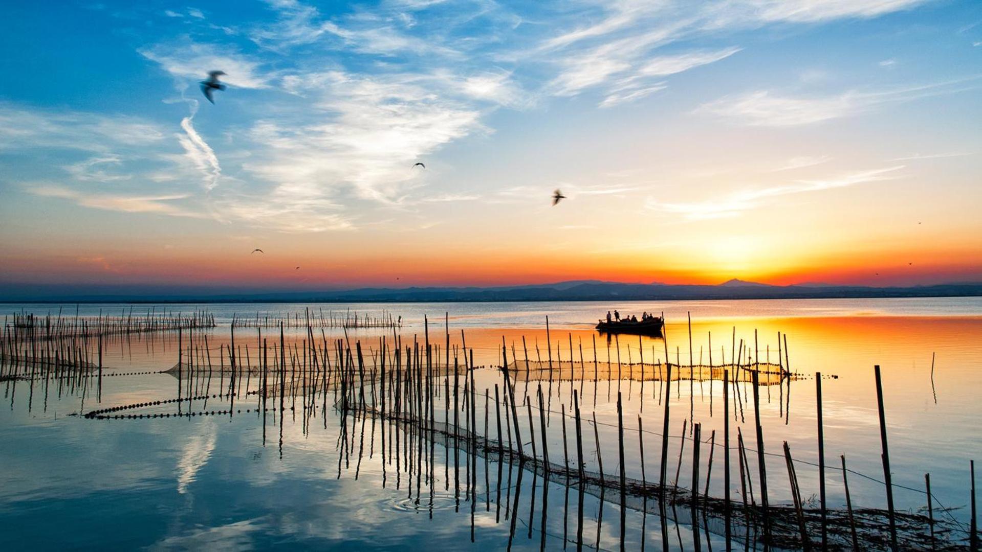 Albufera Dreams Nature Suites Valencia Ngoại thất bức ảnh